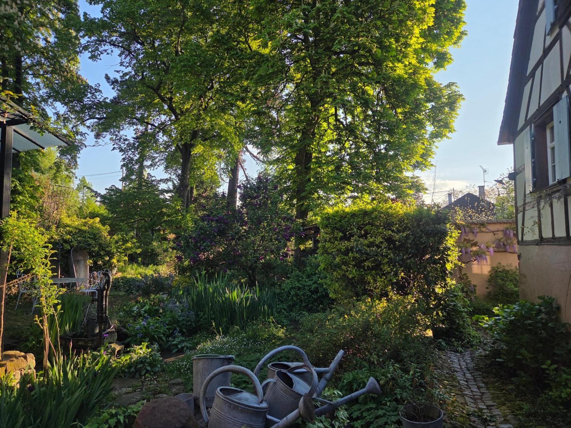 Le Temps Des Cigognes Villa บาร์ ภายนอก รูปภาพ