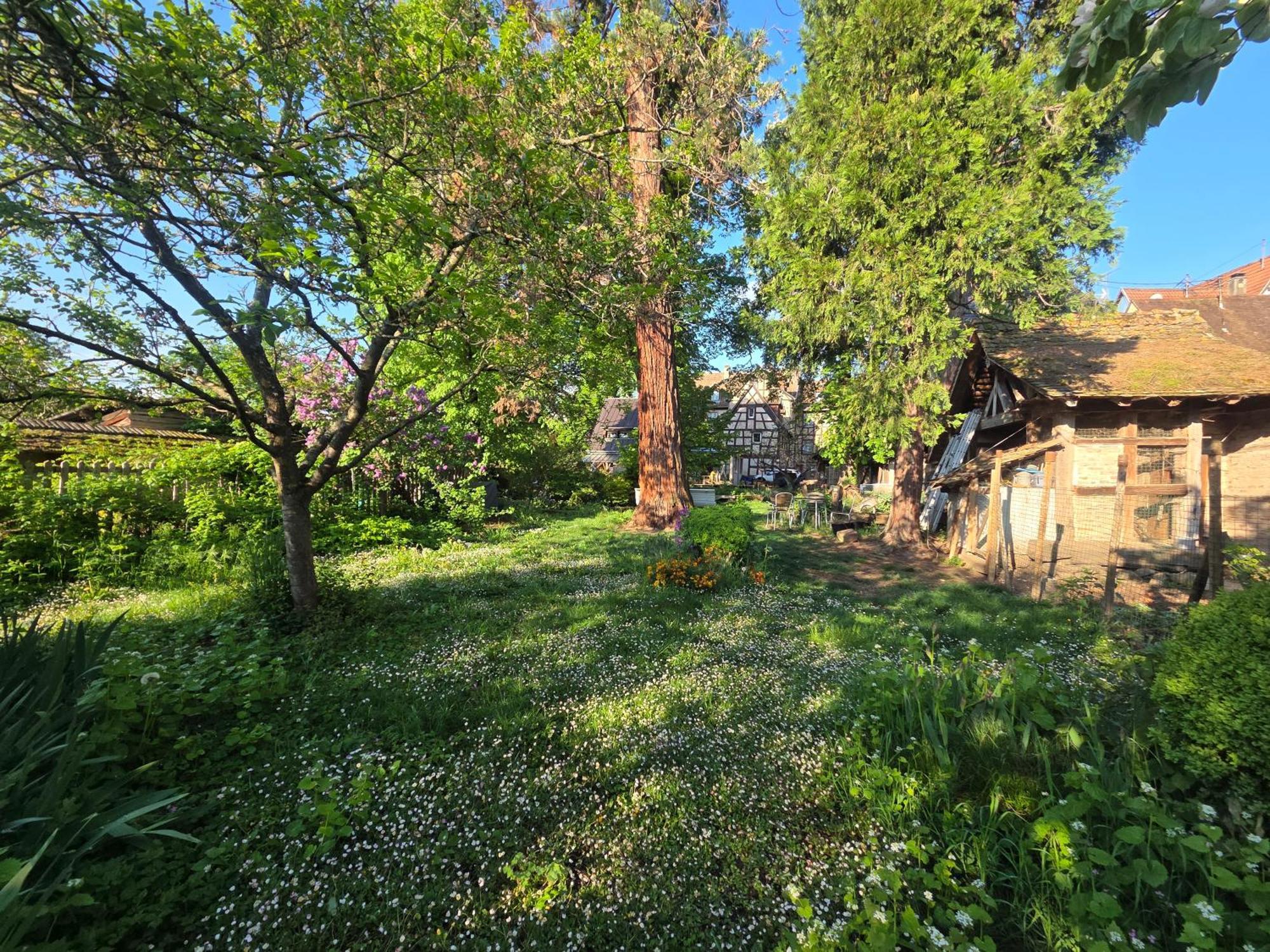 Le Temps Des Cigognes Villa บาร์ ภายนอก รูปภาพ