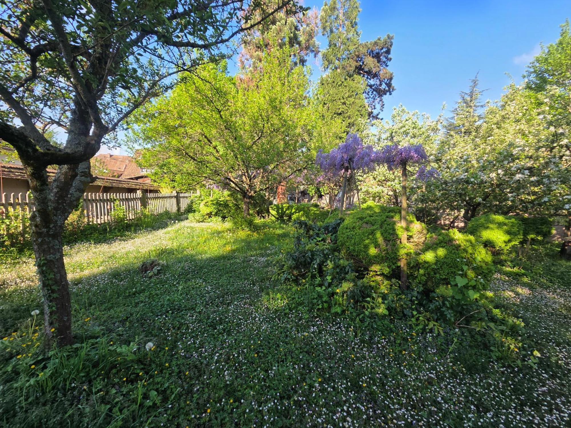 Le Temps Des Cigognes Villa บาร์ ภายนอก รูปภาพ