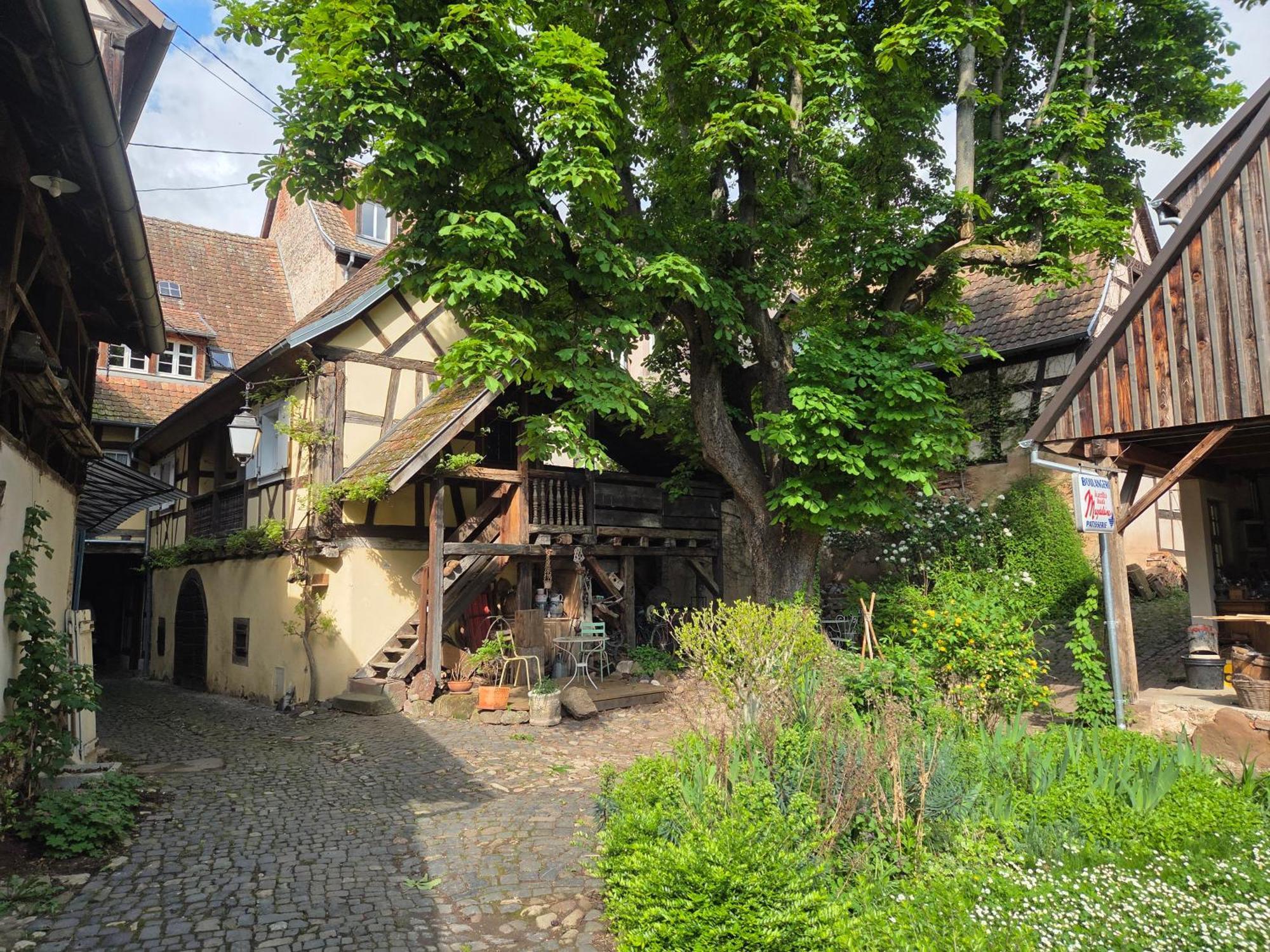 Le Temps Des Cigognes Villa บาร์ ภายนอก รูปภาพ