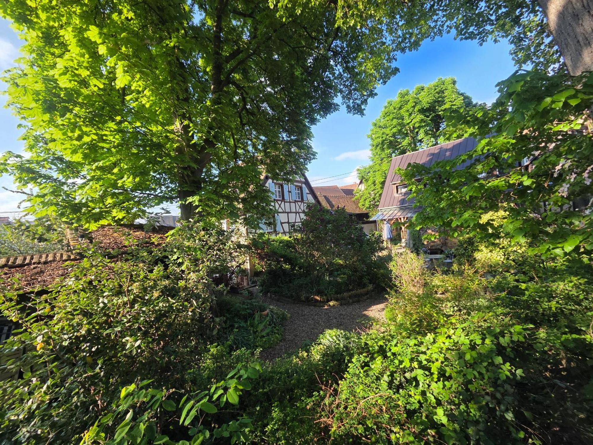 Le Temps Des Cigognes Villa บาร์ ภายนอก รูปภาพ