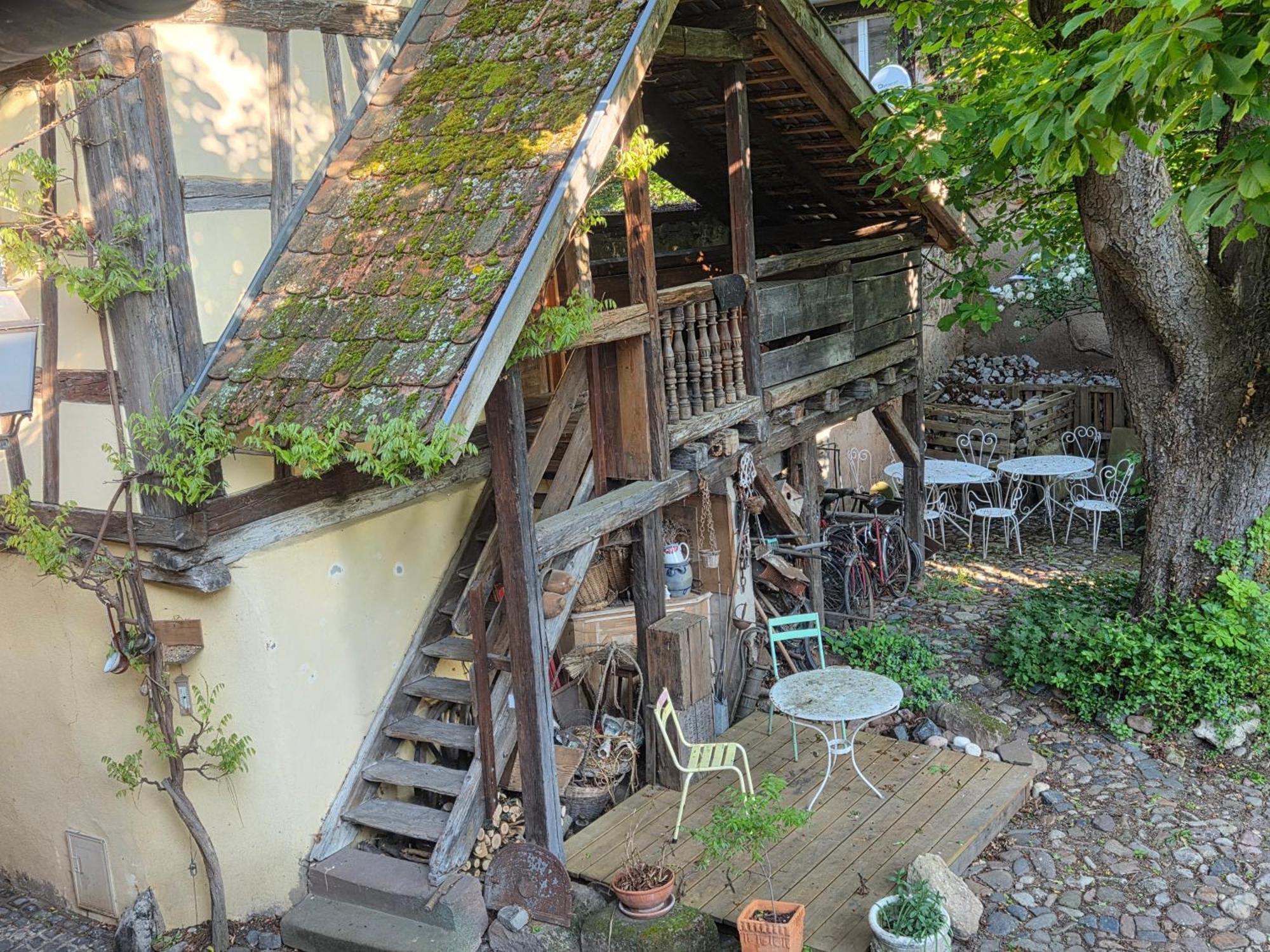 Le Temps Des Cigognes Villa บาร์ ภายนอก รูปภาพ