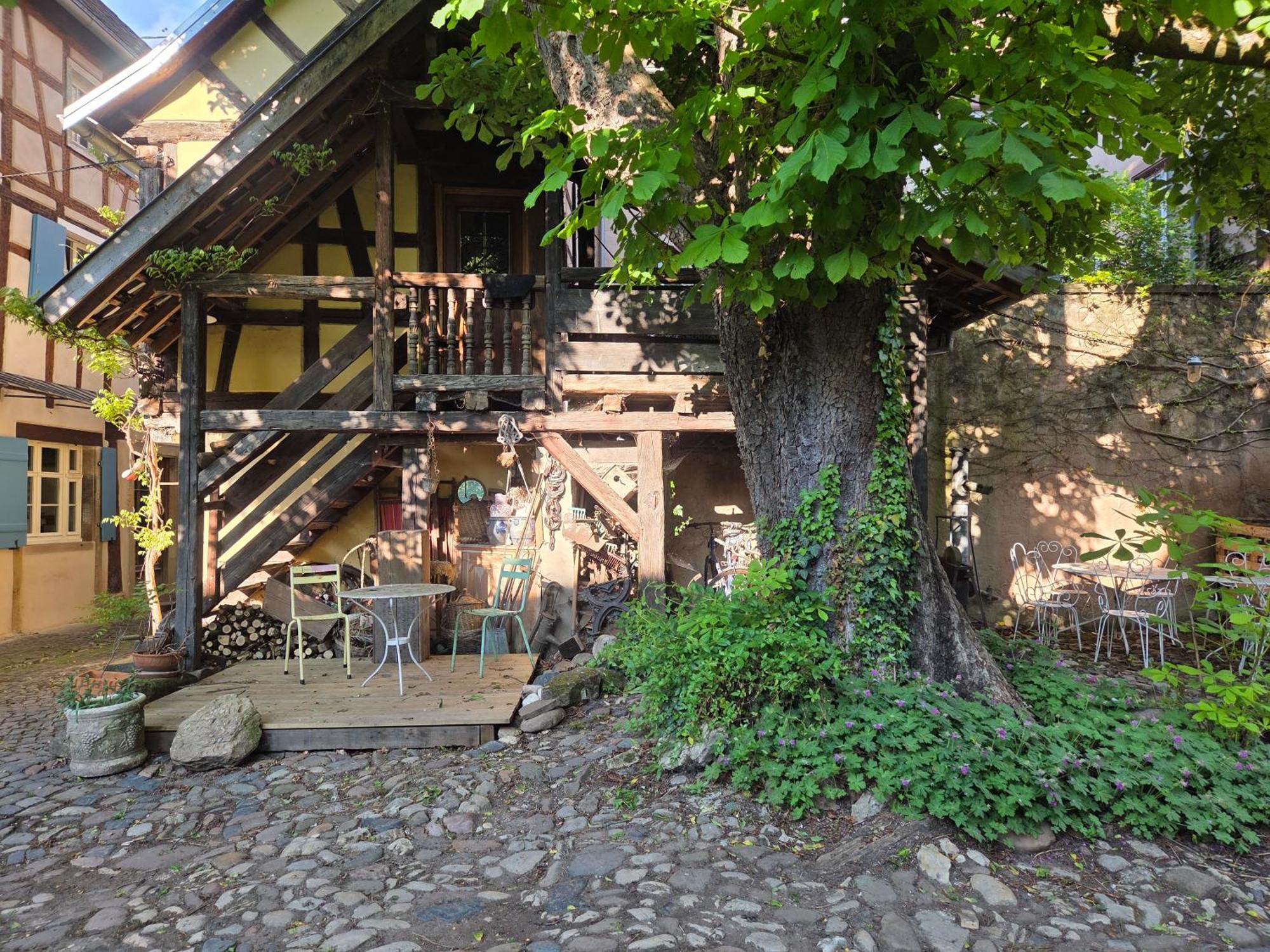 Le Temps Des Cigognes Villa บาร์ ภายนอก รูปภาพ