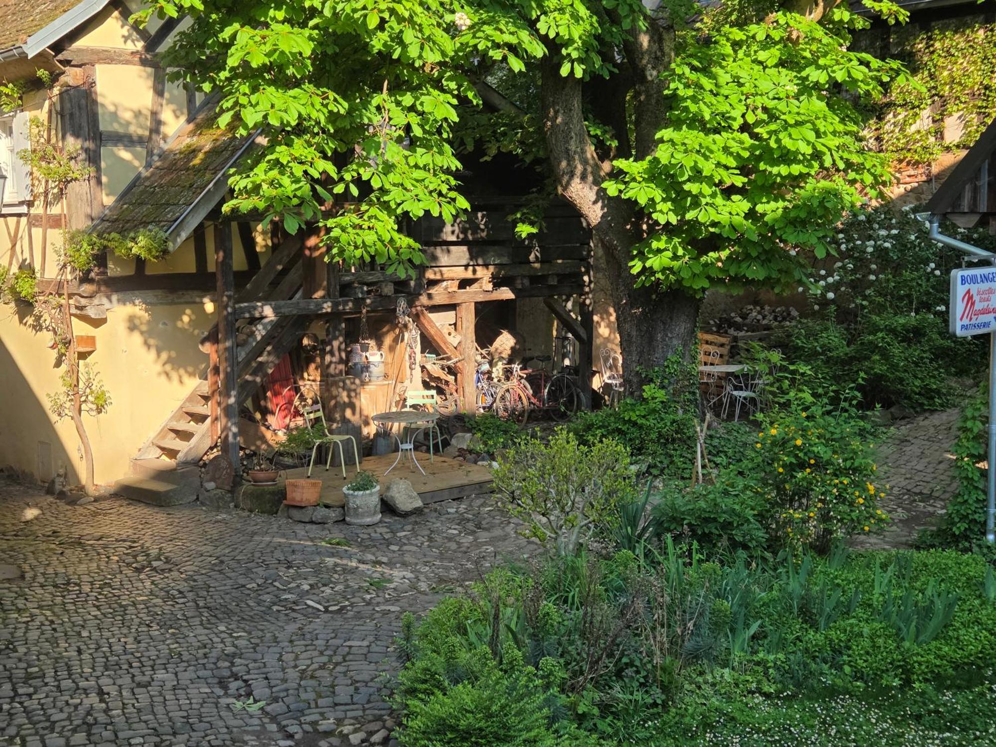 Le Temps Des Cigognes Villa บาร์ ภายนอก รูปภาพ