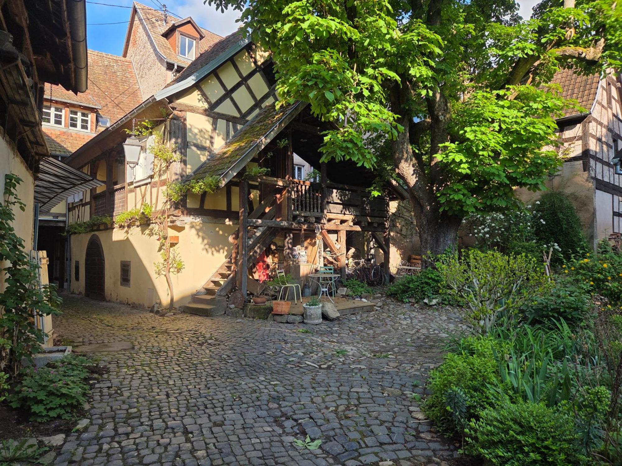 Le Temps Des Cigognes Villa บาร์ ภายนอก รูปภาพ