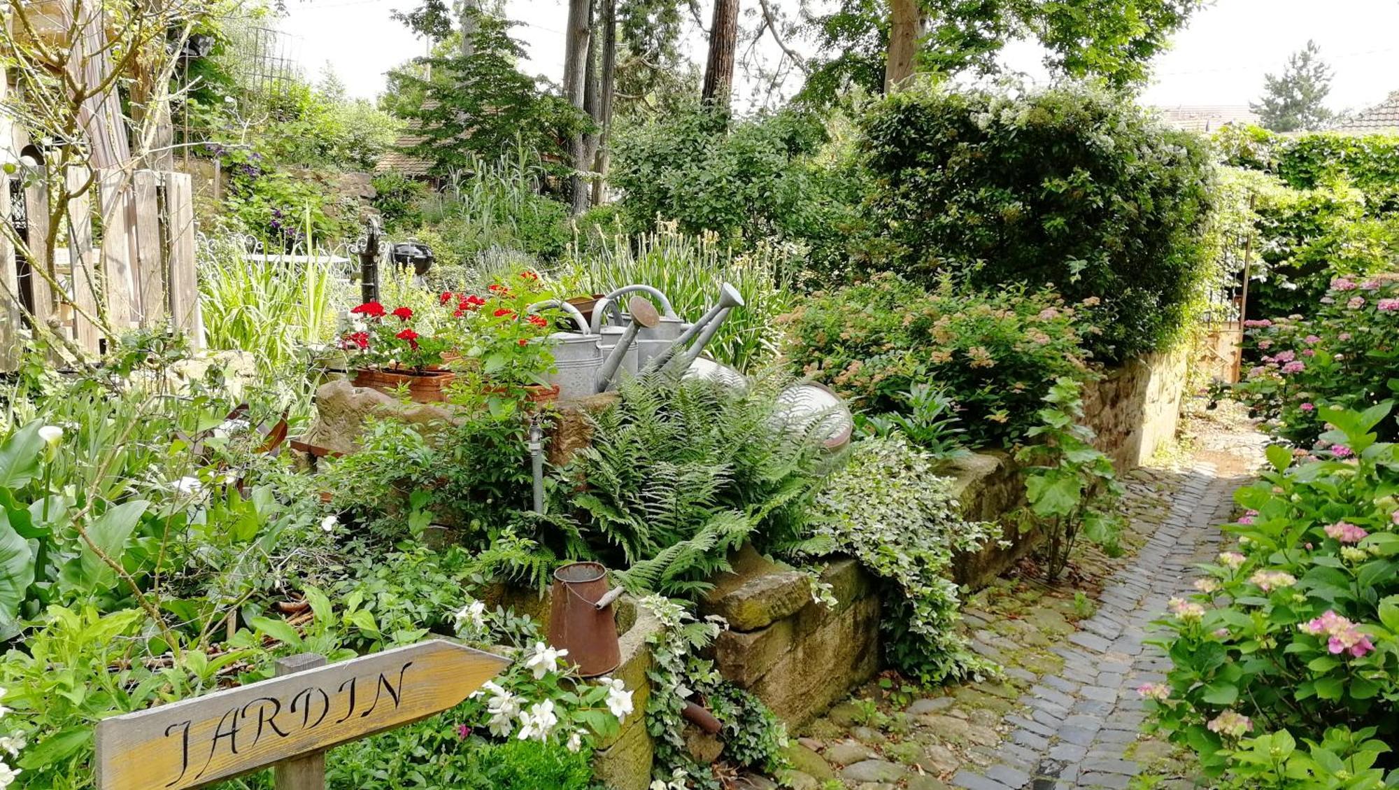 Le Temps Des Cigognes Villa บาร์ ภายนอก รูปภาพ